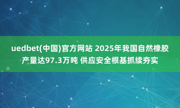 uedbet(中国)官方网站 2025年我国自然橡胶产量达97.3万吨 供应安全根基抓续夯实