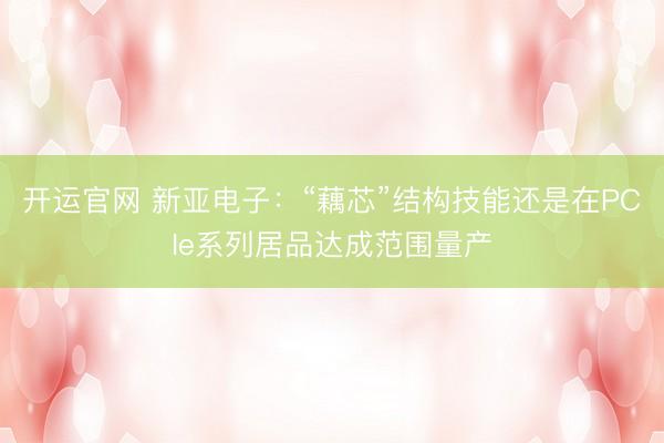 开运官网 新亚电子：“藕芯”结构技能还是在PCIe系列居品达成范围量产