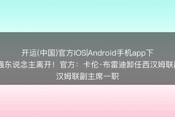 开运(中国)官方IOS|Android手机app下载 英超女强东说念主离开！官方：卡伦·布雷迪卸任西汉姆联副主席一职